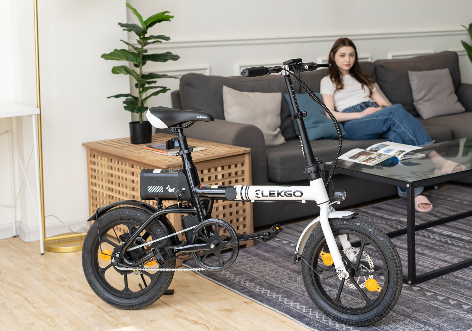 EG35 Folding Electric Bike