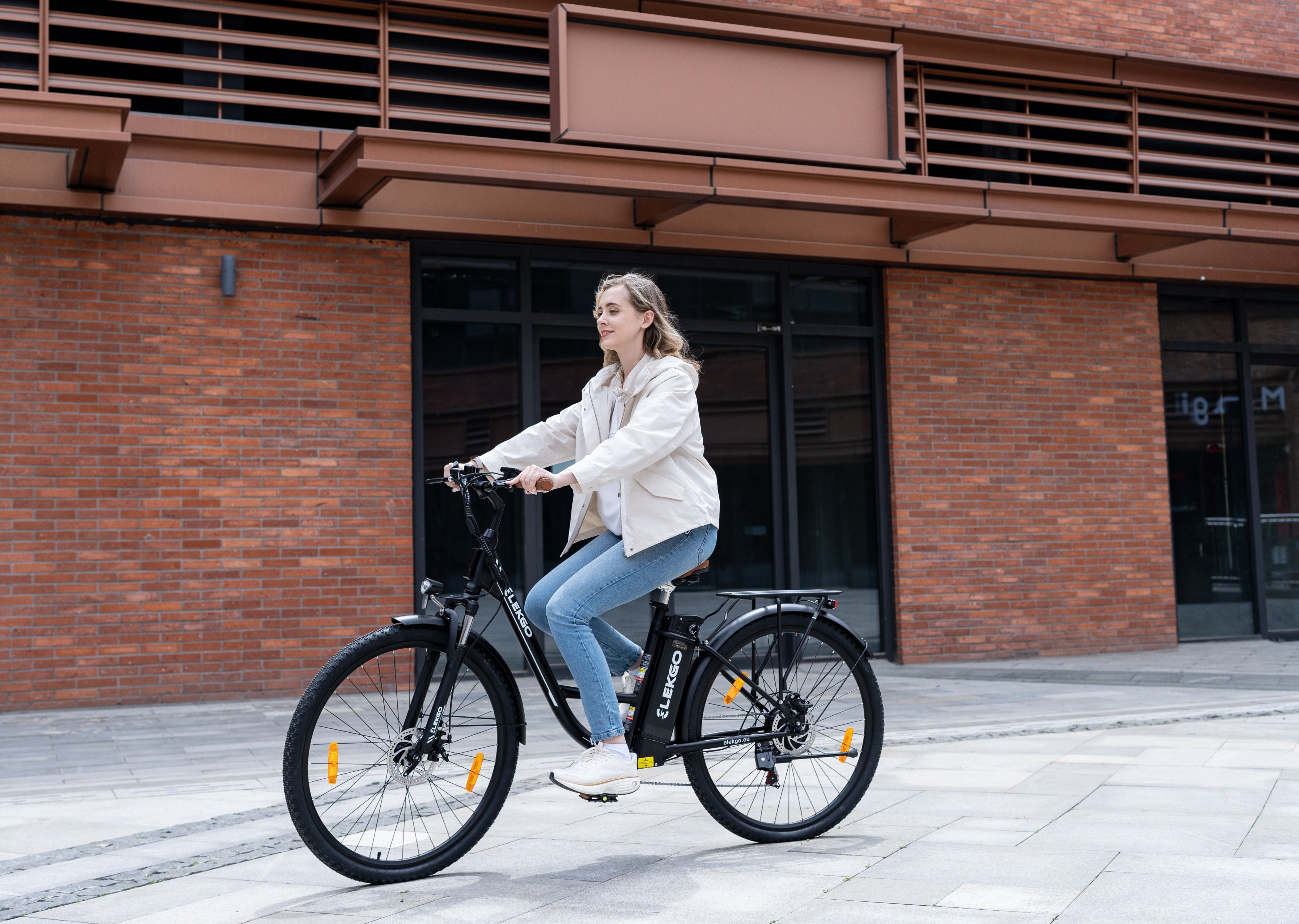 EG31 Electric Bicycle