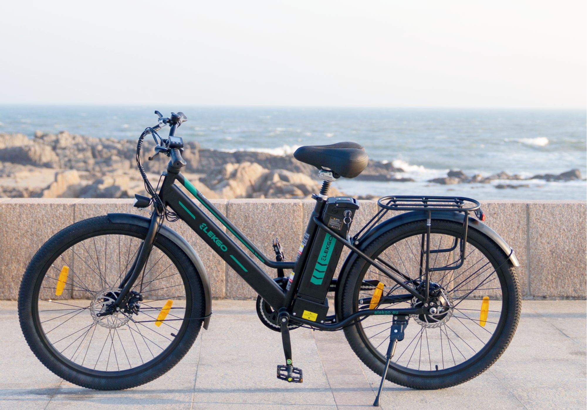 EG08S Electric Bicycle