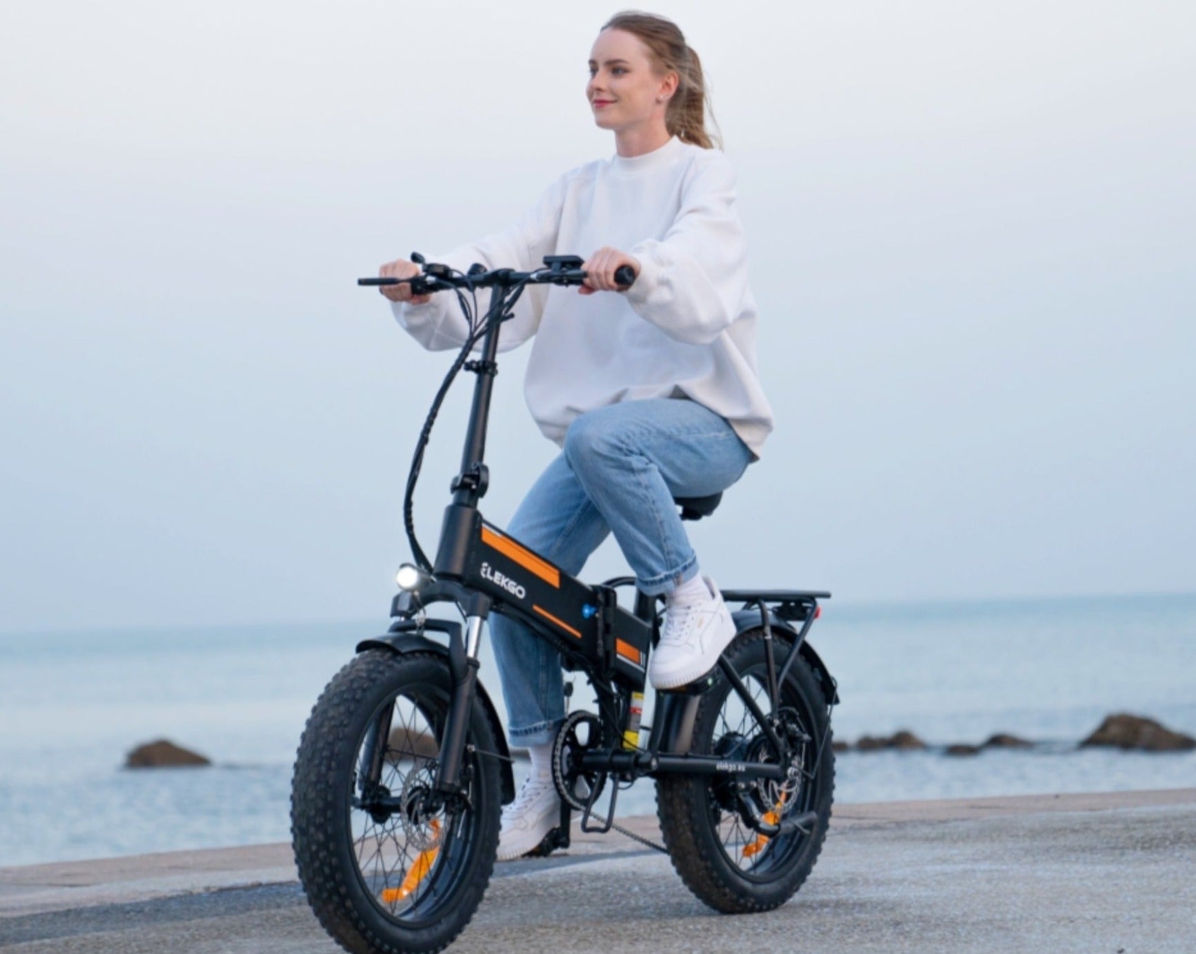 EG10 Folding Electric Bicycle